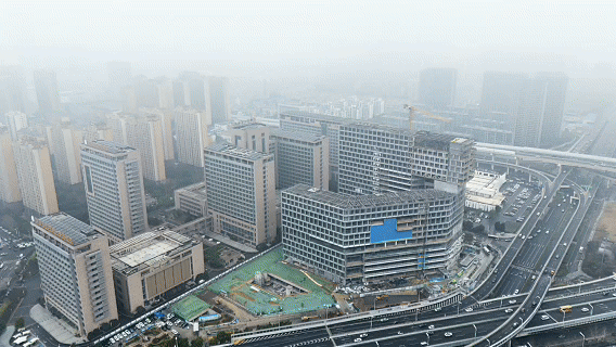 中科院臨床研究醫院項目.gif
